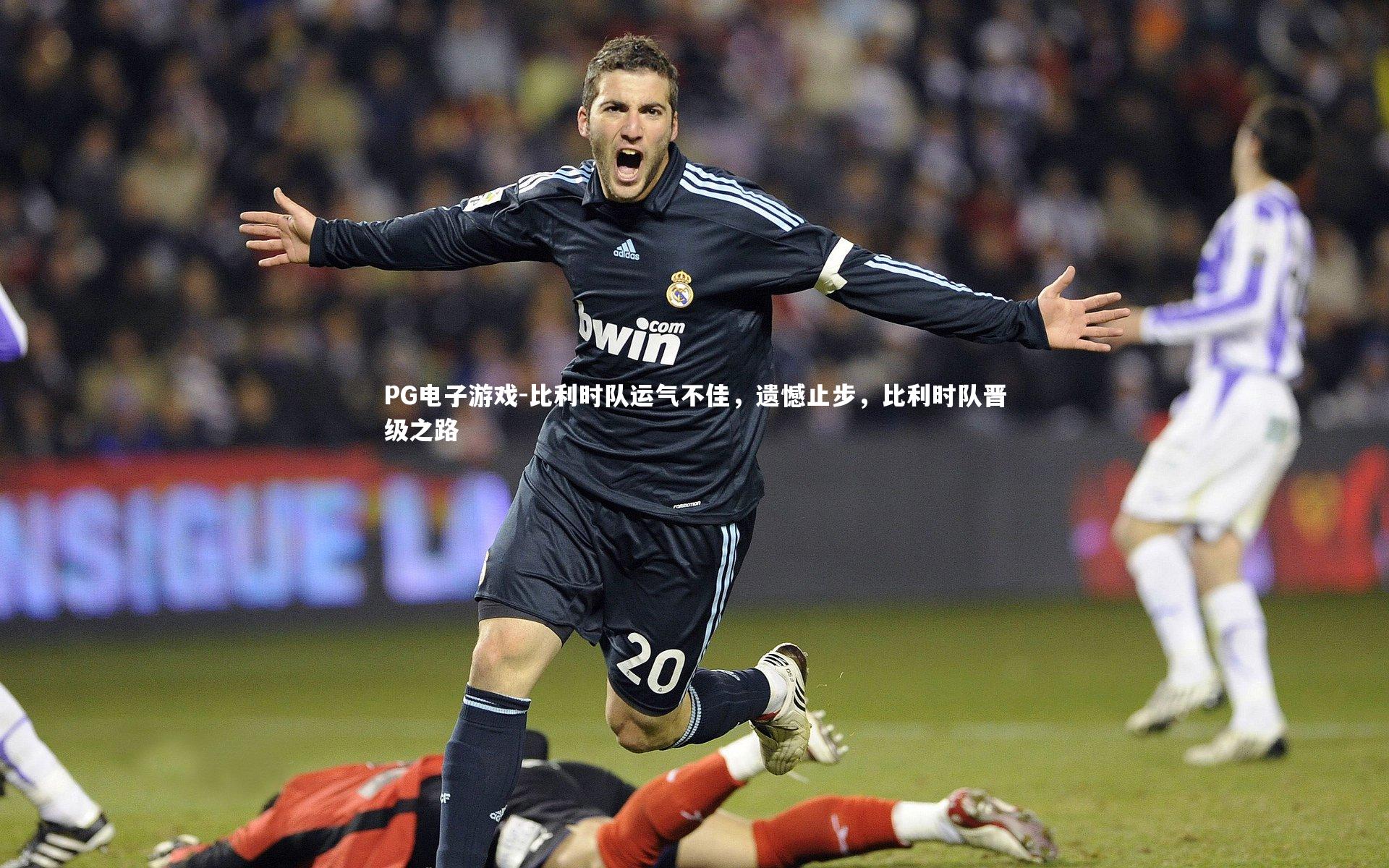 比利时队运气不佳,遗憾止步,比利时队晋级之路